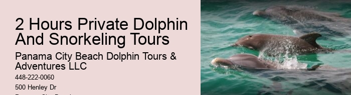Do You Need A Wetsuit To Swim With Dolphins