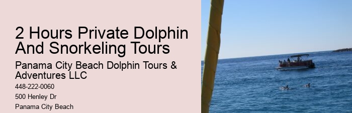 Do Dolphins Really Swim In Front Of Ships