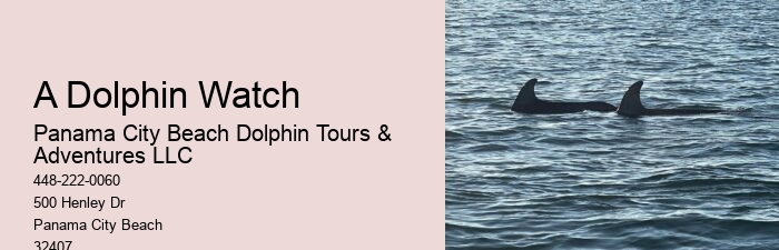 Are Panama City Beach dolphin tours wheelchair accessible