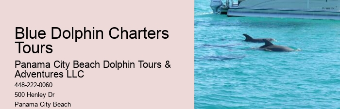 Dolphin Cruise