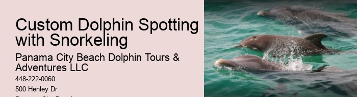 5 Things You Should Know Before Swimming With Dolphins In Cancun