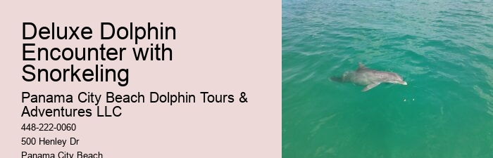 Split Personalized Snorkeling And Dolphin Charters