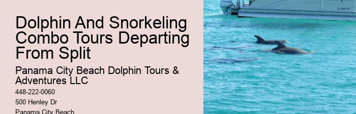 Individual Dolphin Encounter and Snorkeling Tours