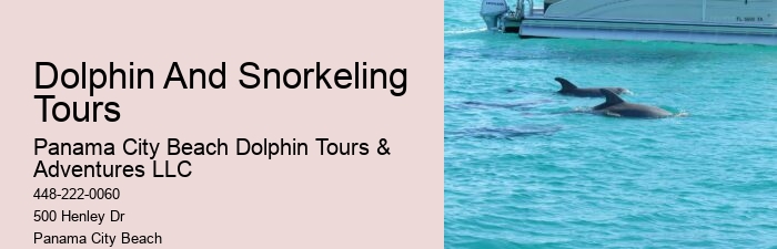 Can You Swim With Dolphins In Panama City Beach
