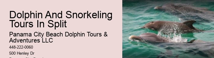 Dolphin Spotting Tours Combined With Snorkeling In Split