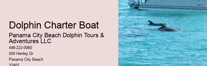 Blue Dolphin Tours Panama City Beach Fl