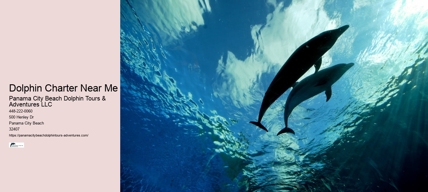 Split Family-friendly Dolphin And Snorkeling Tours