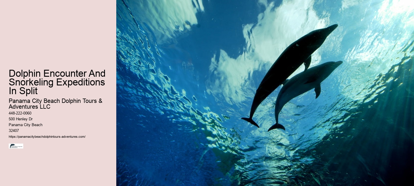 Split Private Yacht Rentals For Dolphin And Snorkeling Excursions
