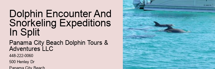 Split Exclusive Snorkeling And Dolphin Watching Charters