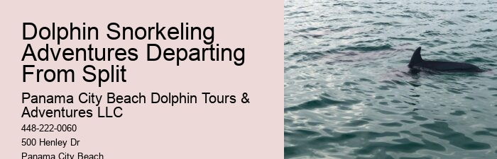 Split Customized Snorkeling And Dolphin Itineraries