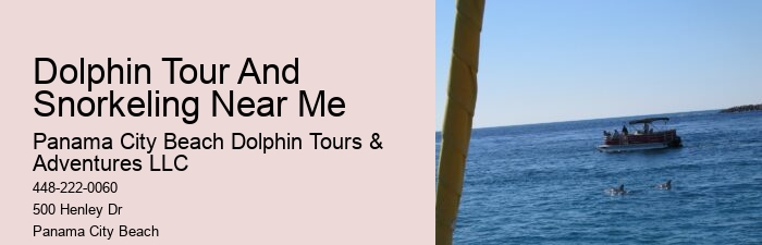 Split Luxury Snorkeling And Dolphin Experiences
