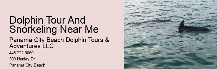 Dolphin Tours Tybee Island