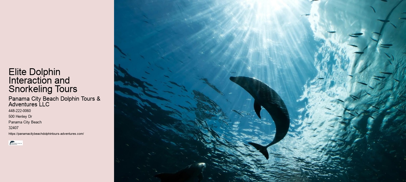 Panama City Beach dolphin excursions