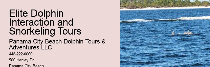 Panama City Beach dolphin discovery experiences