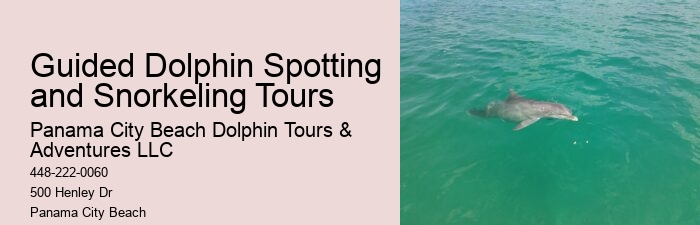 Island Excursion And Dolphin Watch