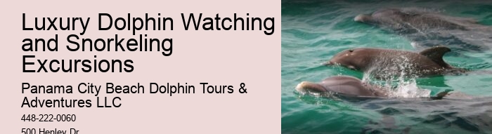 Dolphin Scuba Trips