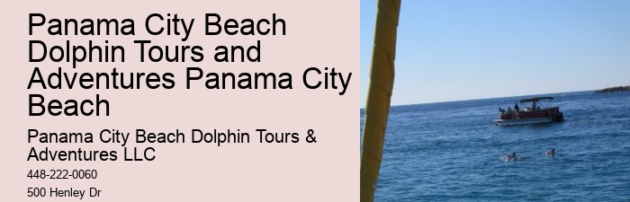 Split Coastal Tours With Dolphin Spotting And Snorkeling