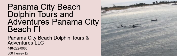 Dolphin adventures in Panama City Beach