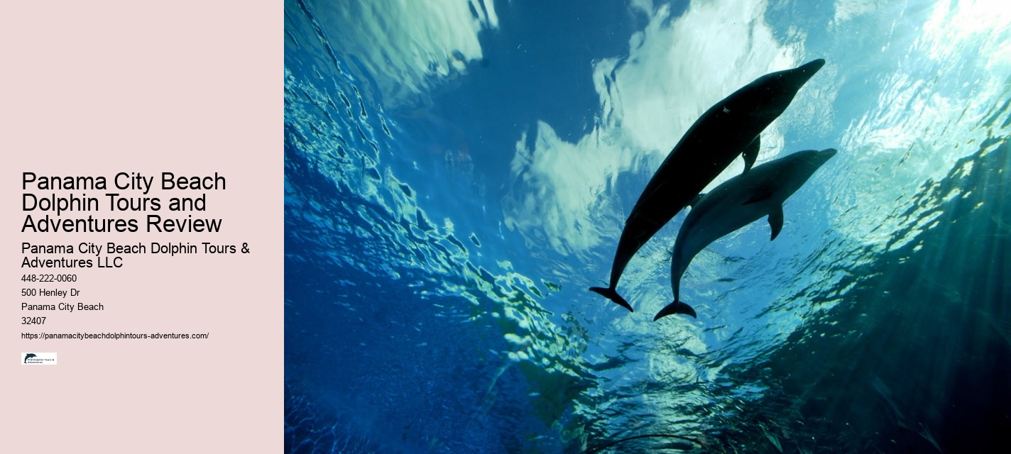 Dolphin Boat Tours Panama City Beach Fl
