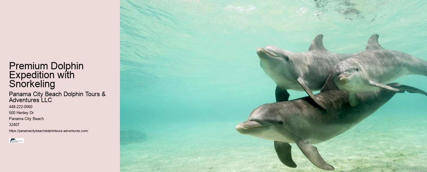 Are there evening sunset dolphin tours available in Panama City Beach