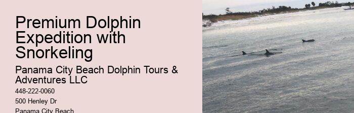 Are Dolphins Actually Happy In Captivity