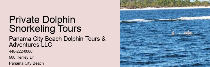 Split Marine Tours With Dolphin Encounters