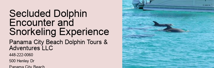 The Magic Of Dolphin Watching: Best Times And Locations