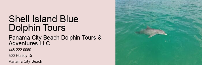 What is the best time of year to go on a dolphin tour in Panama City Beach