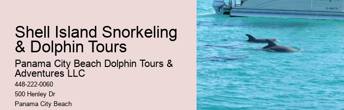 Panama City Dolphin Tours And More