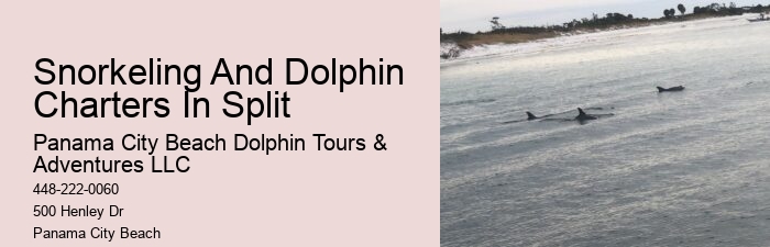 Dolphin boat rides in Panama City Beach