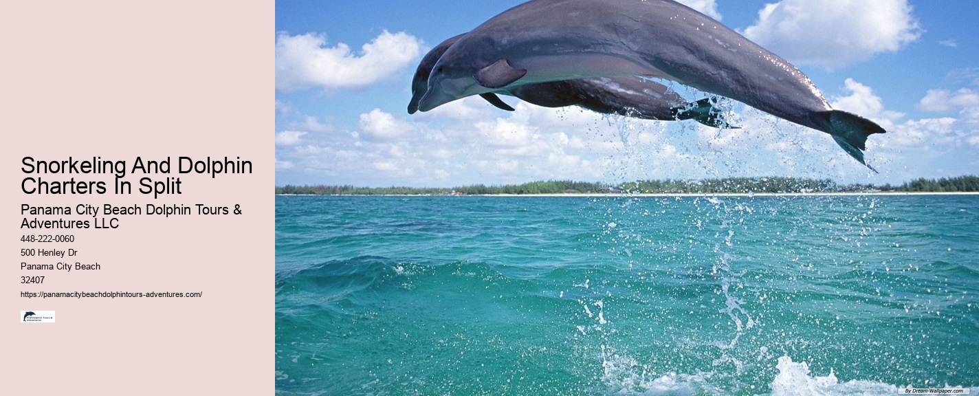 How Deep Is The Water When You Swim With Dolphins