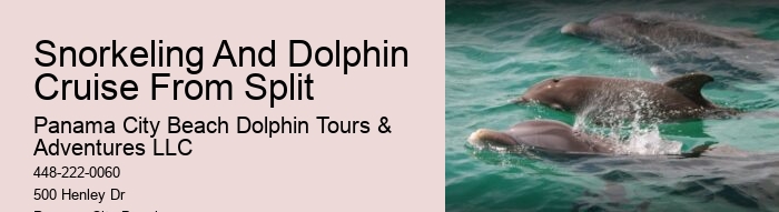 Split Diving Trips Combined With Dolphin Watching