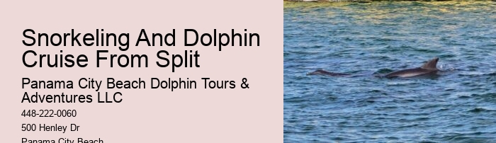 Split Private Luxury Dolphin And Snorkeling Tours