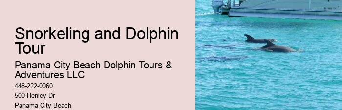 Dolphin watching trips at Panama City Beach