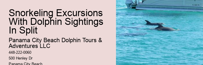 How much does a dolphin tour in Panama City Beach cost