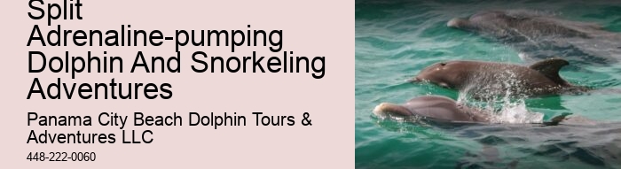 Snorkeling spots