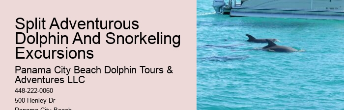 Is It True That Dolphins Use 20% Of Their Brain.