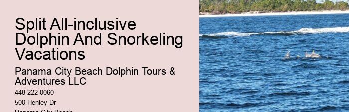 Secluded Dolphin Encounter with Snorkeling