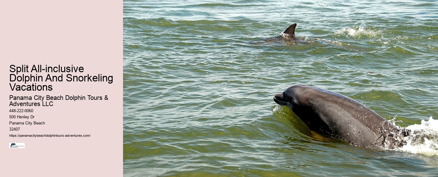 PCB Dolphin Exploration Trips