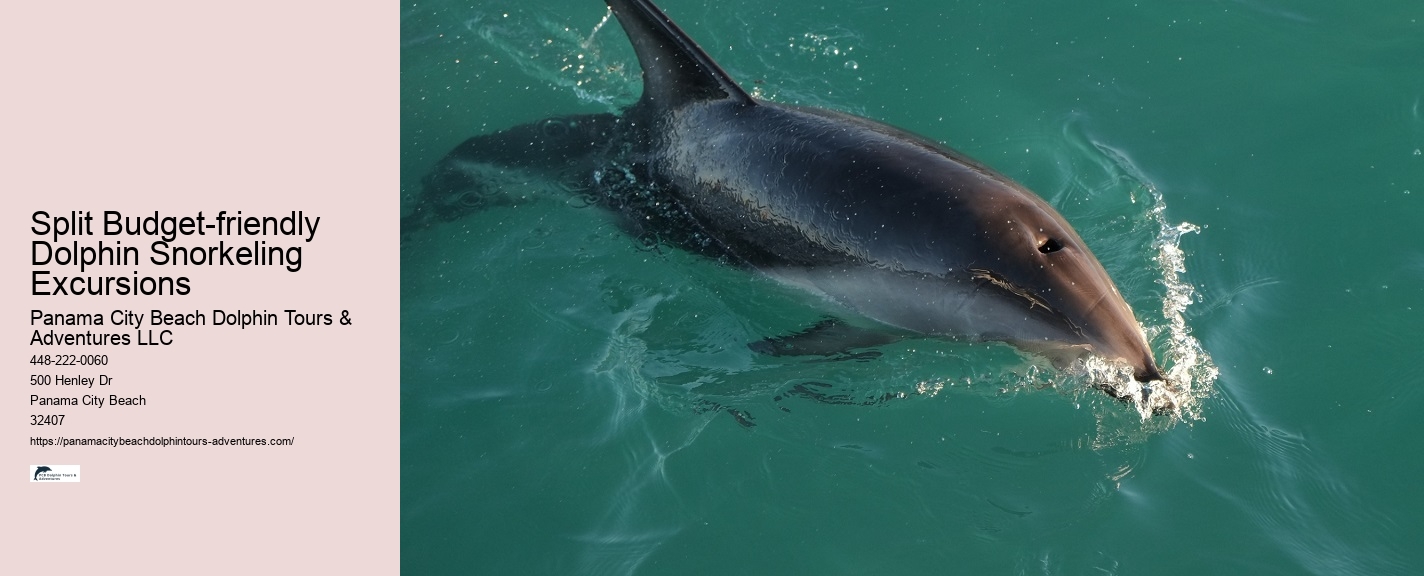 Snorkeling Safaris With Dolphin Watching In Split