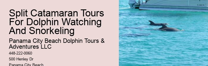 Yacht Dolphin Tours
