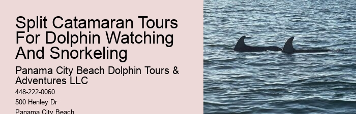 Personal Dolphin Encounter and Snorkeling Adventures