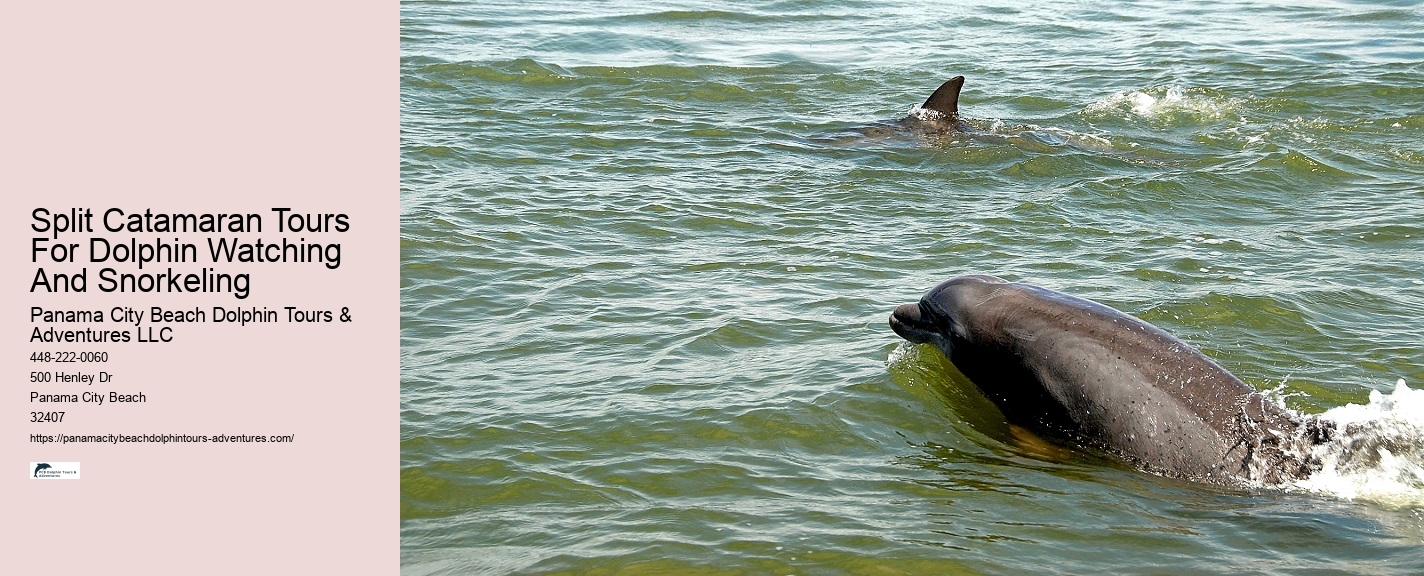 Can I request a specific time for my dolphin tour