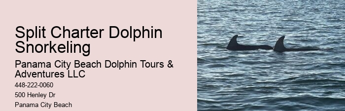 Panama City Beach dolphin spotting cruises