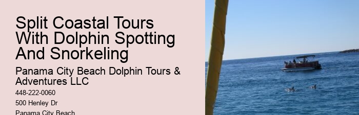 Intimate Dolphin Expedition with Snorkeling