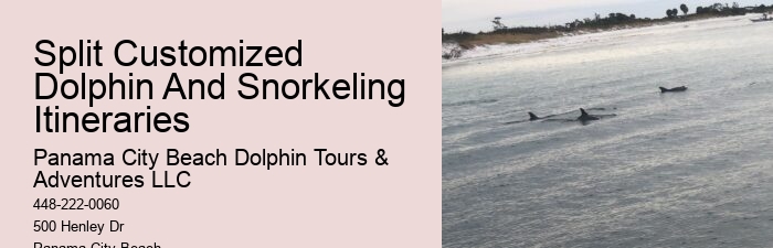 Split Private Charters For Dolphin And Snorkeling