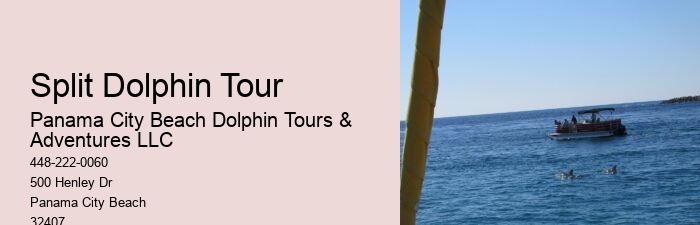 Dolphin And Snorkeling Combo Tours Departing From Split