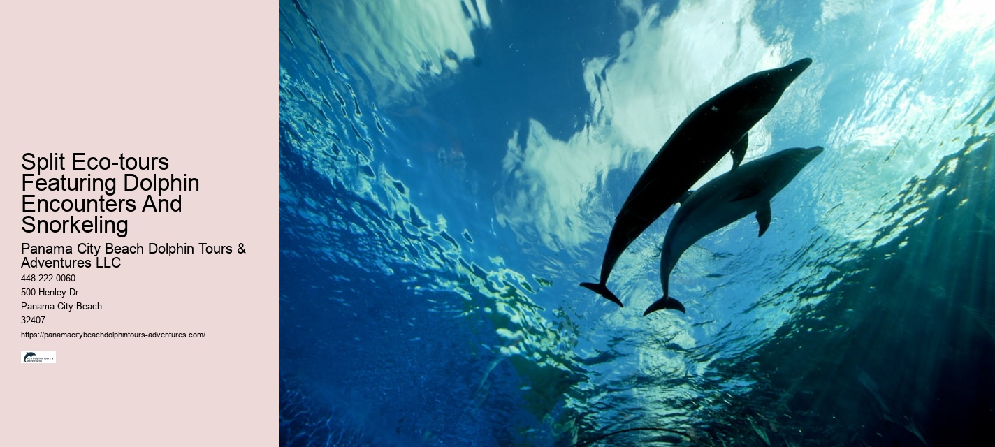 Dolphin Watch 30a