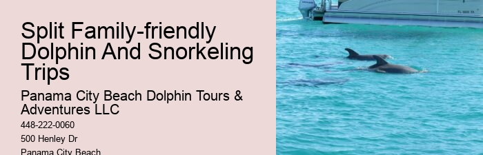 Swim-with-the-dolphins Attractions