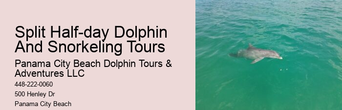 Hour Private Snorkeling
